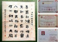 奋进新时代  迈向新征程  两会特访著名国学大师---龙鸿